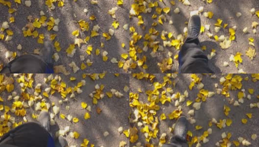 在爱沙尼亚，一个人走在散落的落叶上高清在线视频素材下载