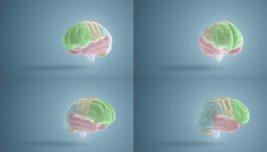 数字彩色人脑在蓝色背景下的4k视频。高清在线视频素材下载