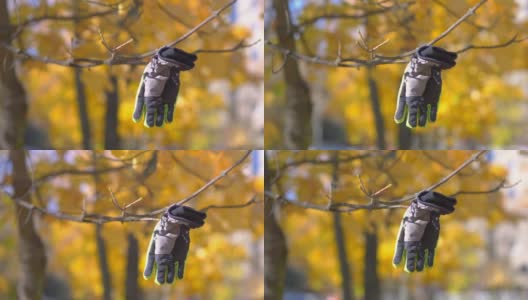 丢失的手套挂在树上，以4k慢动作60帧/秒的速度高清在线视频素材下载