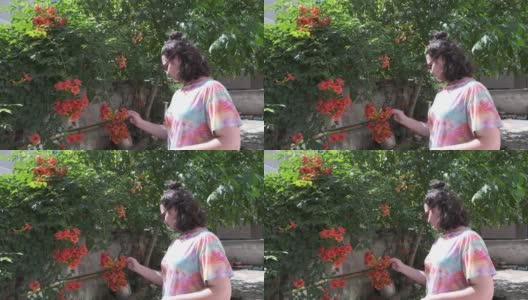 小女孩喜欢花园里的红花，抚摸着树枝高清在线视频素材下载
