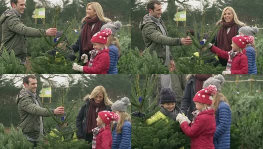 一家人一起挑选圣诞树的慢镜头高清在线视频素材下载