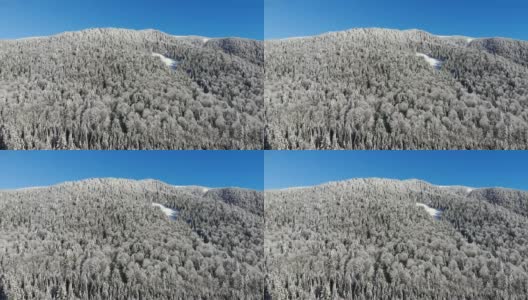 山里的冬天。冬季森林从鸟瞰。山上的树被白雪覆盖。蓝色的天空。用四轴飞行器拍摄。高清在线视频素材下载