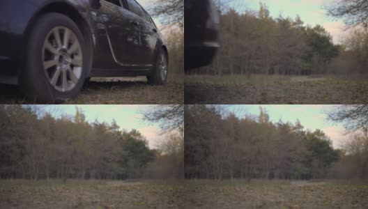 汽车行驶在生动的落叶飘落的森林道路上，汽车旅行高清在线视频素材下载
