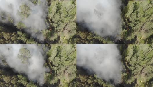 冒烟的野火的航拍画面。森林和田野在火中。亚马逊和西伯利亚的野火。干草燃烧。高清在线视频素材下载