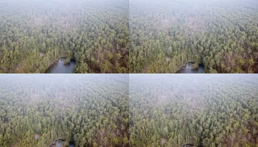 2021年6月10日，澳大利亚维多利亚州，一场风暴过后，无人机拍摄了Bullarto袋熊溪大坝附近倒下的树木。高清在线视频素材下载