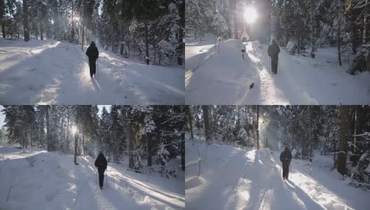 冬季徒步旅行，惊人的森林景观，相机稳定拍摄高清在线视频素材下载