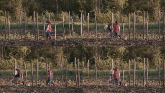 真人——老女人和小女孩在乡下种西红柿高清在线视频素材下载