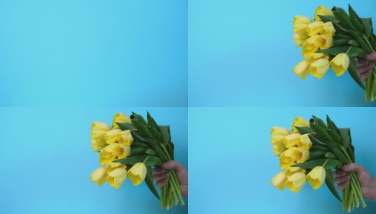 一个男人的手拿着一束蓝色背景的黄色郁金香。高清在线视频素材下载