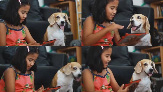 一个非洲小女孩在用她的平板电脑，她的小猎犬在看平板电脑高清在线视频素材下载