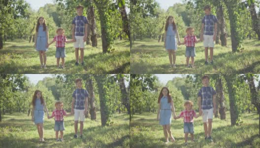 三个红头发的孩子在阳光明媚的户外牵着手走向摄像机。快乐的小男孩和十几岁的哥哥姐姐在春夏季公园散步。周末休闲和家庭。高清在线视频素材下载