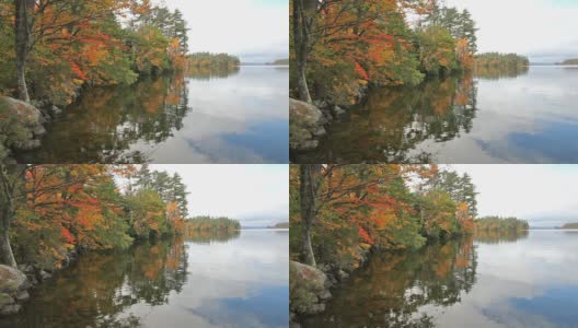 秋天的风景高清在线视频素材下载