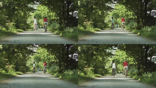 在乡下骑自行车高清在线视频素材下载
