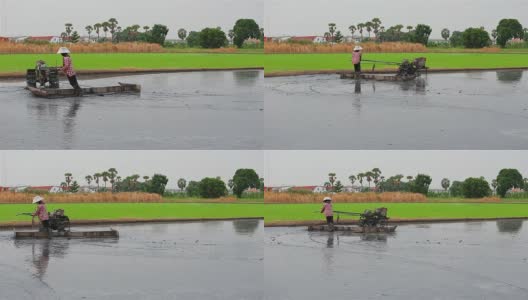 泰国农民使用拖拉机在农场种植水稻高清在线视频素材下载