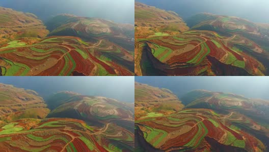 中国云南的高空水稻田高清在线视频素材下载