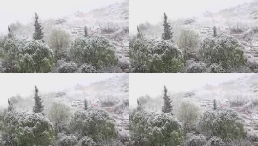 下雪高清在线视频素材下载