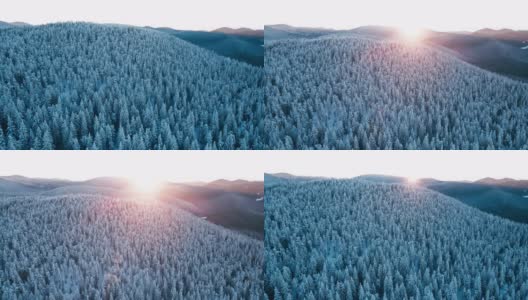 冬季鸟瞰图，覆盖着积雪的松林和日出时升起的太阳。高清在线视频素材下载