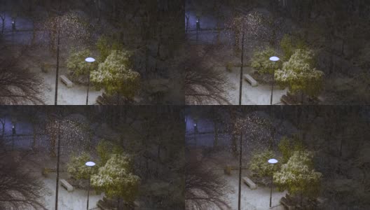 公园里大雪纷飞高清在线视频素材下载