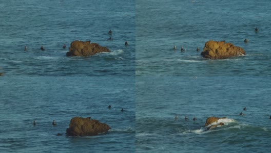 冲浪者在南加州海岸的海水中等待合适的海浪。高清在线视频素材下载