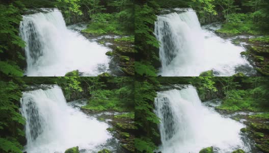 小溪在绿色的森林，Cyoushiootaki高清在线视频素材下载