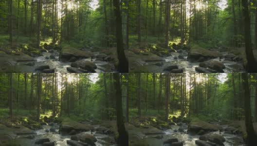 阳光森林里的石溪高清在线视频素材下载
