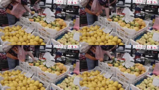 妇女在市场摊位上挑选水果，新鲜的橙子放在袋子里高清在线视频素材下载