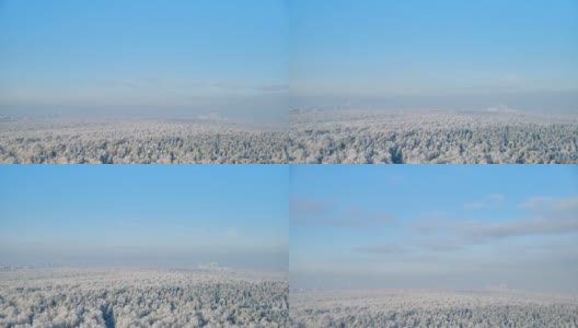 冬天的森林里有雪树，蓝天上的云朵，时间流逝高清在线视频素材下载