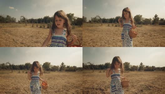 POV，用户生成内容。一个小女孩学习如何摘西红柿。真实的人，乡村场景，。镜头光晕，特殊角度，GoPro。高清在线视频素材下载