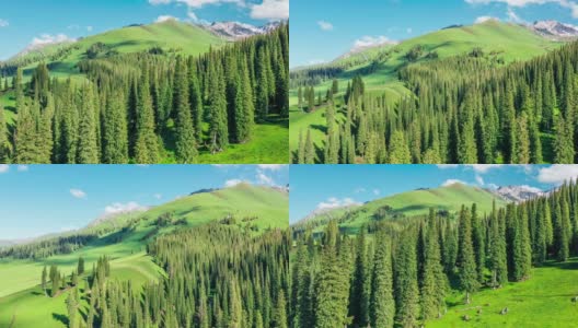 那拉提草原和绿色森林与高山自然景观高清在线视频素材下载