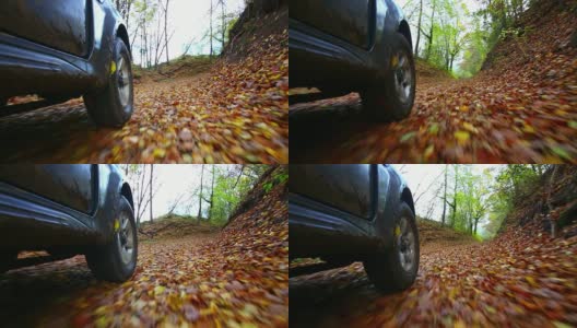 POV越野车穿越秋天森林高清在线视频素材下载