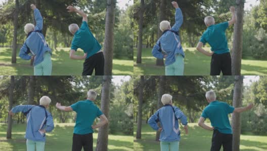 后视镜高级白人男子和女子伸展弯曲在公园户外慢动作训练。适合在阳光明媚的日子里一起健身的灰发夫妇。健康的生活方式和老龄化观念。高清在线视频素材下载