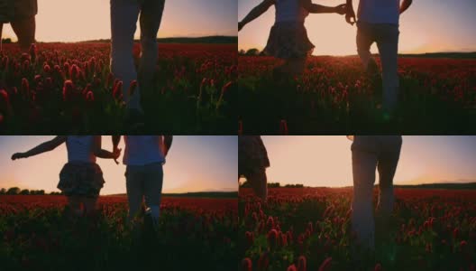 日落时分，一对情侣在田野里跑步高清在线视频素材下载
