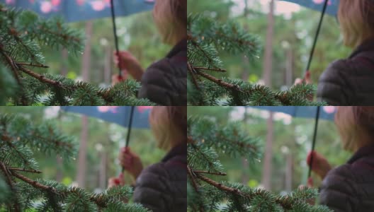 公园里潮湿的针叶树树枝上滴着雨滴的特写，背景中模糊的是一个打着伞的女人。一个女人从后面的公园里冒着雨，打着伞高清在线视频素材下载