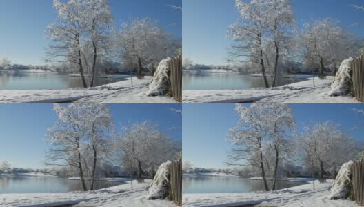 冬天的早晨，湖边的景象，融雪从树上飘落高清在线视频素材下载