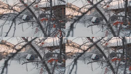 俄罗斯的冬季自然风光高清在线视频素材下载