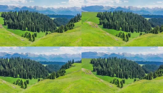 航拍新疆的绿色草原和山脉高清在线视频素材下载