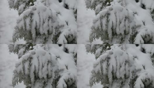 冬天和雪高清在线视频素材下载