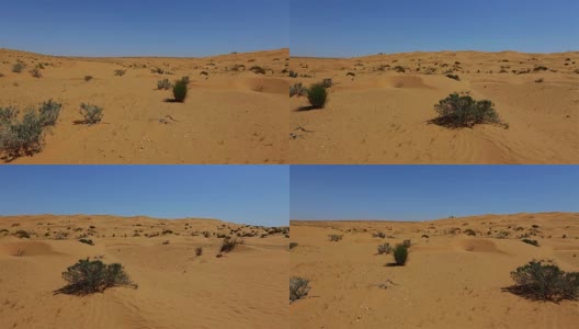 撒哈拉沙漠附近的东方大厄尔格，突尼斯高清在线视频素材下载