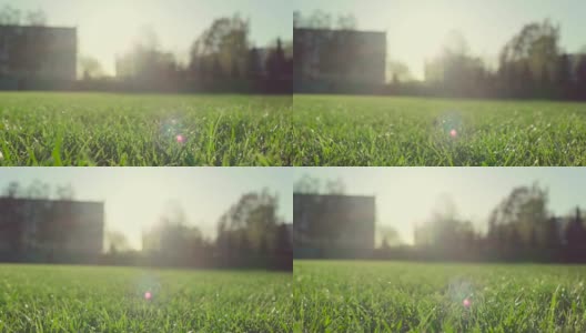 慢动作:日落在gras field摄影车拍摄高清在线视频素材下载