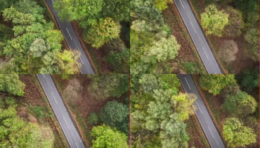 天线:森林中的道路高清在线视频素材下载