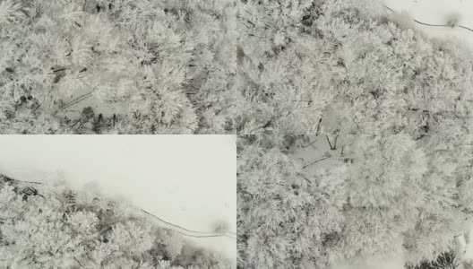 无人机拍摄雪域森林高清在线视频素材下载