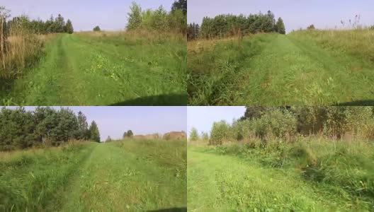 沿着森林的乡间小路上覆盖着鲜花和草高清在线视频素材下载