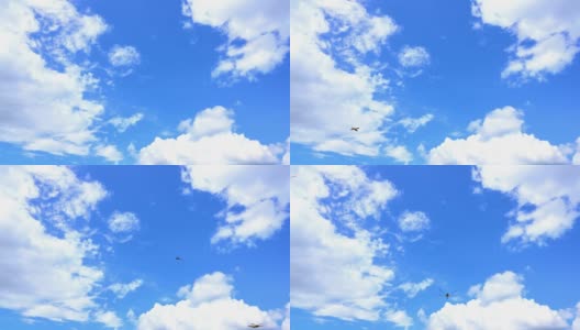 慢镜头美丽的蜻蜓飞在蓝天的背景高清在线视频素材下载