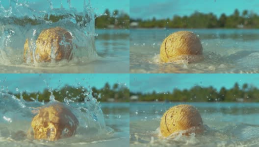 MACRO:在海滩上着陆后，透明的水溅在棕色椰子周围。高清在线视频素材下载