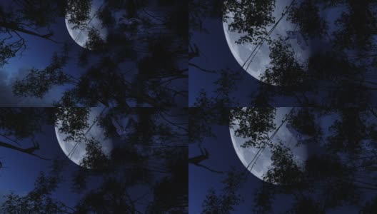 飞行的大美国角猫头鹰在令人毛骨悚然的夜晚与满月在天空的3D动画剪辑高清在线视频素材下载