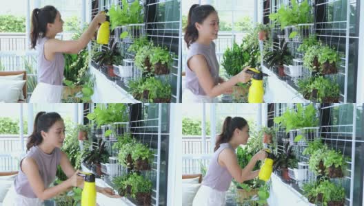 亚洲妇女园丁在家里的花园里给植物浇水。高清在线视频素材下载