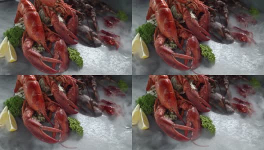4K超高清:近距离倾斜的加拿大龙虾和小龙虾在黑色背景与冰冻的冰烟。新鲜豪华海鲜和菜单食谱零售市场概念。高清在线视频素材下载