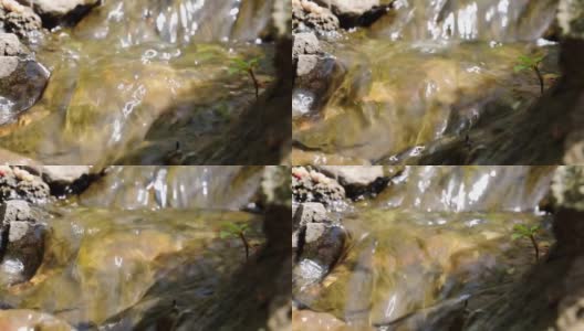 一条小溪从岩石上流过，在阳光下，溪水波光粼粼高清在线视频素材下载