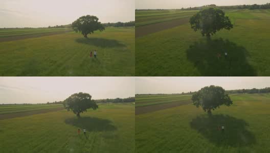 空中母女在草地上跳跃高清在线视频素材下载