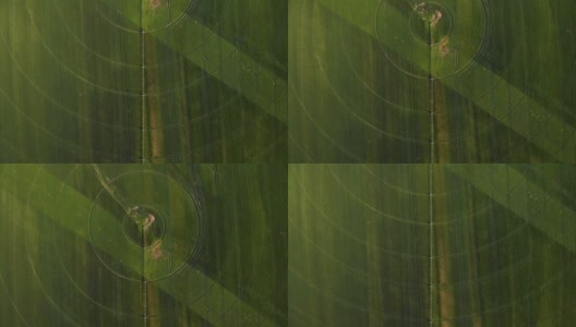农业鸟瞰图与圆形作物灌溉高清在线视频素材下载