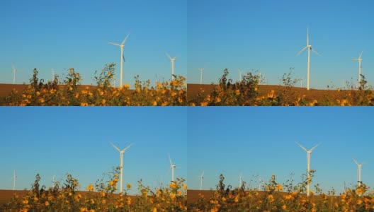 风力发电机和向日葵高清在线视频素材下载